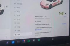 2021 Tesla Model 3 2021 StandardBattery lifeRWDUpgradeEdition #14