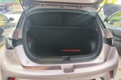 2022 BYD Dolphin 2021 405km Fashion #4