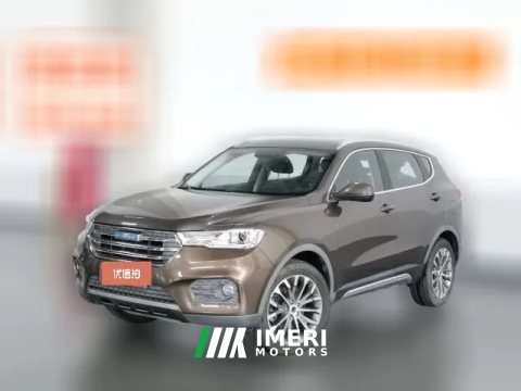 2017 Haval H6 2017 2.0T AT Blue Label2WDSmart Fashion