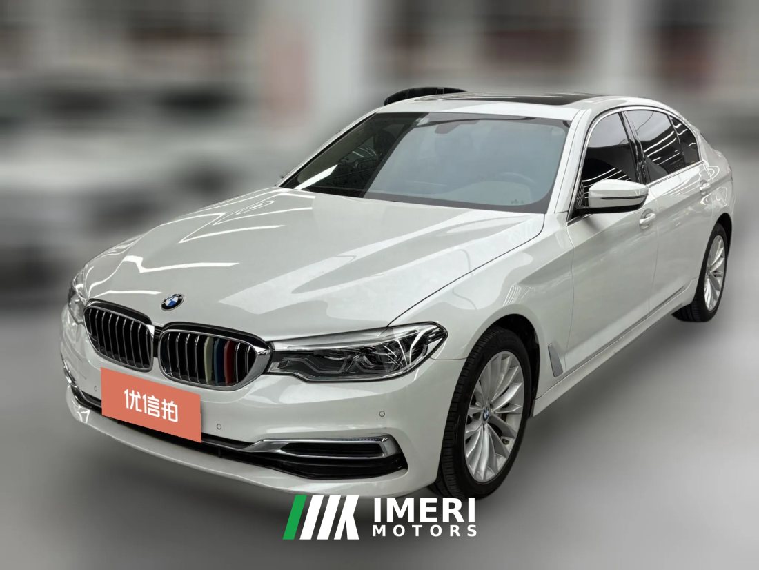 2020 BMW 5 Series 2020 2.0T AT 530LiLeadingLuxury Pkg