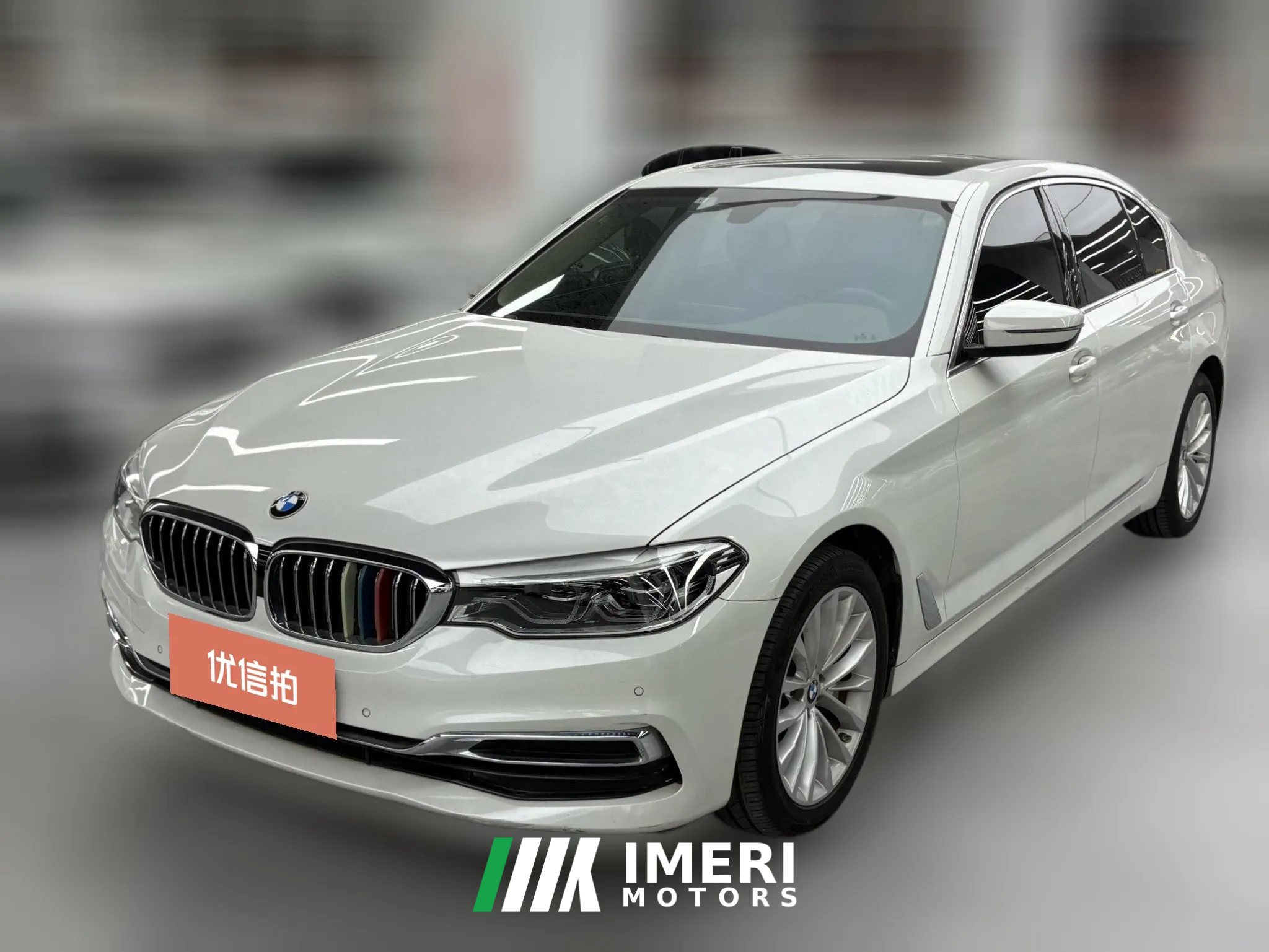 2020 BMW 5 Series 2020 2.0T AT 530LiLeadingLuxury Pkg