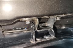 Trunk Lid