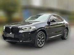 2022 BMW X4 2022 2.0T AT xDrive 25i MSport Pkg (Imported) #1