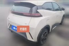 2023 BYD Seagull 2023 freeEdition #2