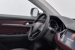 2019 Haval H6 Coupe 2019 1.5T AT SuperHaoSmart ConnectFWD #23