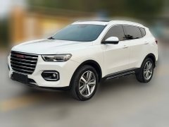 2019 Haval H6 2018 Red Label 2.0T AT Luxury #1
