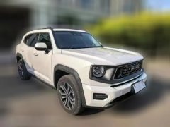 2023 Haval Big Dog Plus 2023 1.5T AT 2WDShionoEditionplus #2