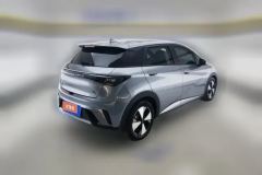 2023 BYD Dolphin 2023 420km Fashion #3