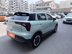 2023 Geometry E Firefly 2024 301km starlight #9
