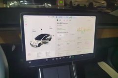 2020 Tesla Model 3 2020 Facelift StandardBattery lifeRWDUpgradeEdition EV #14