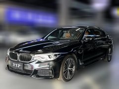 2020 BMW 5 Series 2020 2.0T AT 530LiLeadingMSport Pkg #1
