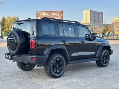 2023 Tank 300 2023 Off-road 2.0T AT conqueror #9