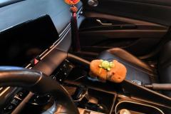 2021 Hyundai Elantra Sedan 2021 1.5 AT LUXPremium #13