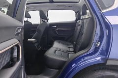 2020 Haval H6 2020 1.5T AT PlatinumChampion #19