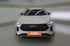 2022 Haval Chitu 2022 Power Enjoy 1.5T AT Copper Rabbit #2