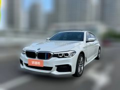 2019 BMW 5 Series 2019 2.0T AT 525Li MSport Pkg #1