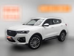 2018 Haval H6 2018 Blue Label 2.0T AT Luxury #1