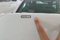 Trunk Lid