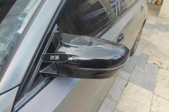 Left Exterior Mirror