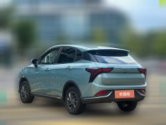 2022 Neta V 2022 tide 300 Lite LFP #4