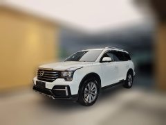 2020 GAC Trumpchi Trumpchi GS8 2020 2.0T AT 390TLuxurySmart Connect7Seat FWD #1