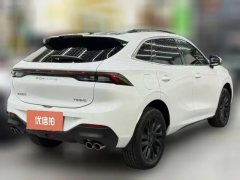 2023 Dongfeng Fengxing Fengxing T5 2022 prosperous age 1.5T AT distant dreamEdition7Seat #9