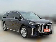 2022 Voyah Dreamer 2022 0carbonEdition Home 475km #3