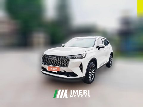 2025 Haval H6 2024 1.5T AT 2WDClassic