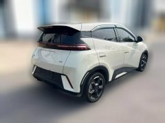 2024 BYD Seagull 2024 Glory 305KM freeEdition #5