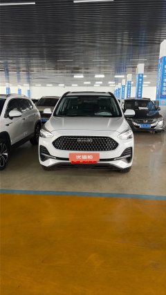 2020 Haval M6 2019 1.5T AT Super ValueFWD China VI #12