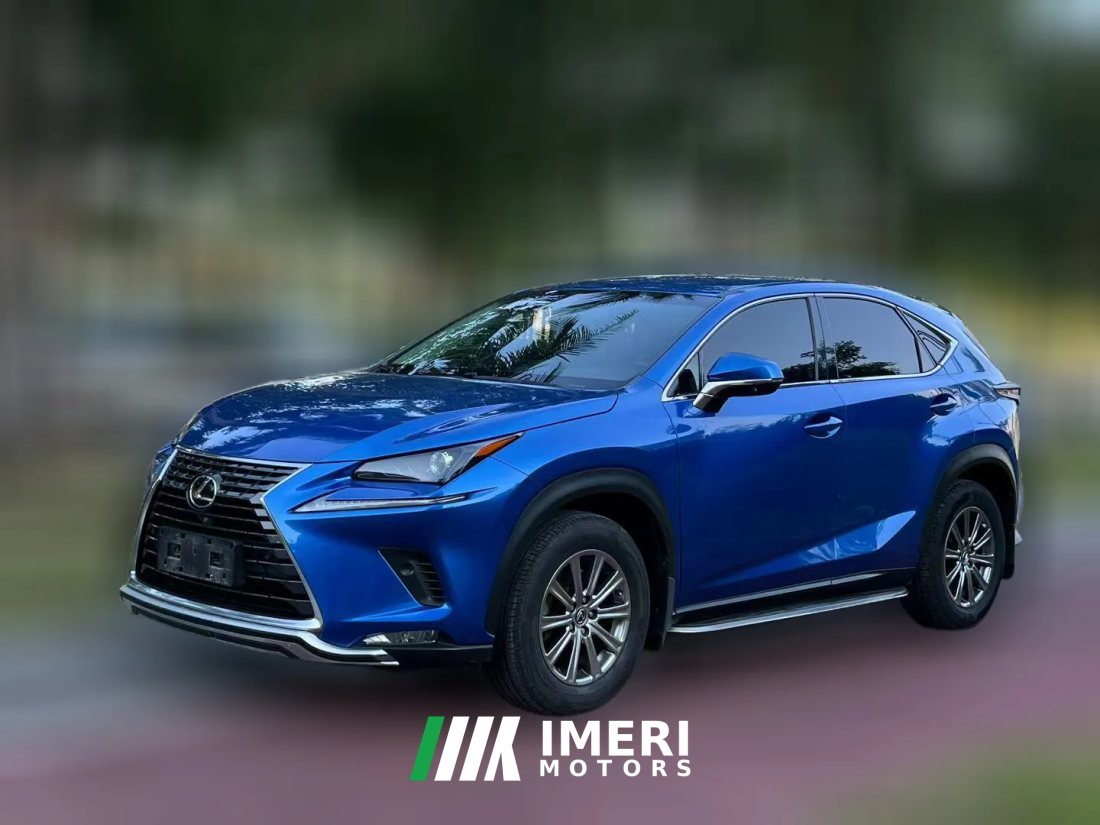 2019 Lexus NX 2019 300h AT Million Limited Edition (Import) China VI