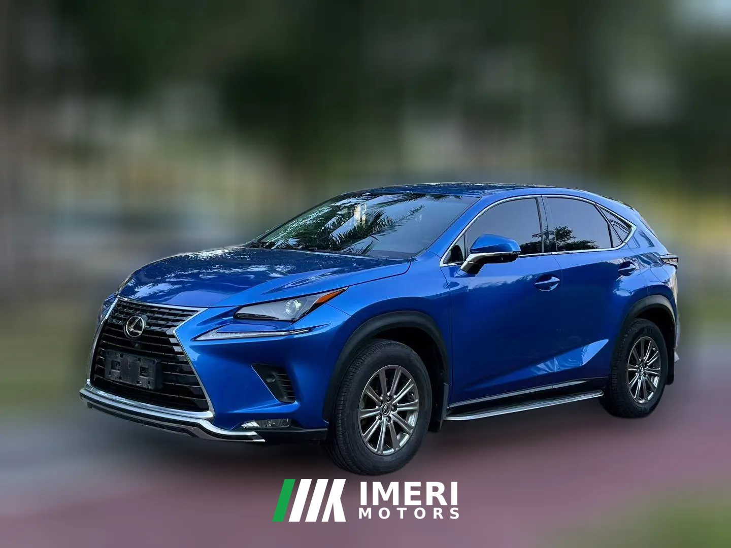 2019 Lexus NX 2019 300h AT Million Limited Edition (Import) China VI