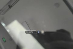 Windshield