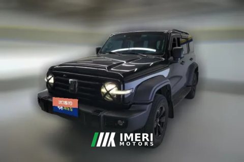 2022 Tank 300 2023 Off-road 2.0T AT conqueror