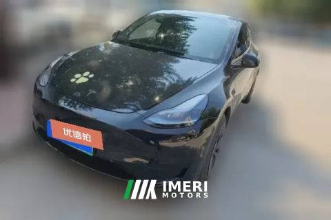 2024 Tesla Model Y 2024 rear wheel driveEdition