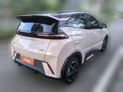 2024 BYD Seagull 2024 Glory 305KM freeEdition #4