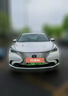 2019 Chang'an Eado New Energy 2019 EV460Smart EV #2