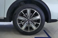 2020 Haval H6 2021 1.5T AT Champion #6