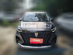 2022 Roewe iMAX8 2022 2.0T AT 400TGI GatheringEdition #2