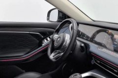 2022 Voyah Free 2021 4WDStandardEREVExclusiveLuxury Pkg #23