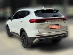2023 Haval H6 2023 China tideEdition 1.5T ATUrbanEdition #16