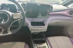 2022 BYD Dolphin 2021 405km Fashion #13