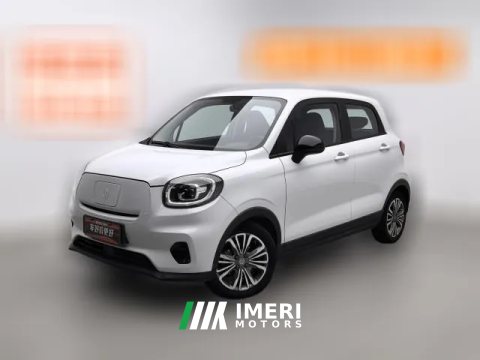 2021 Leapmotor T03 2021 400Enjoy lightlyEdition NMC