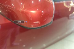 Left Exterior Mirror
