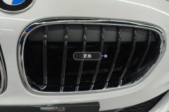 Intake Grille