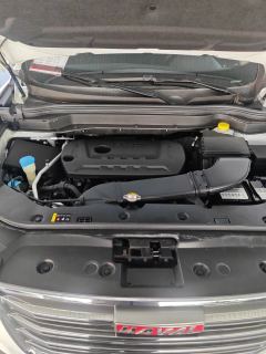 2018 Haval H6 2018 Red Label 2.0T AT Luxury #9