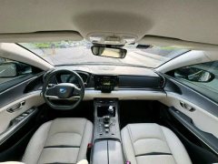 2022 BYD E9 2021 Business #6