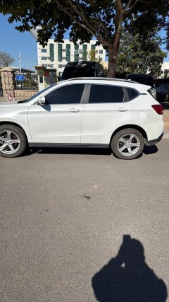 2019 Haval H2 2018 1.5T MT Create and enjoyEditionBlue LabelFashion #2