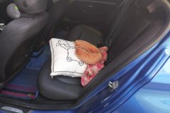 2017 BMW 3 Series 2018 2.0T AT 320Li MSportYaoyeEdition #11