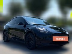 2022 Tesla Model Y 2021StandardBattery lifeRWDEdition #3